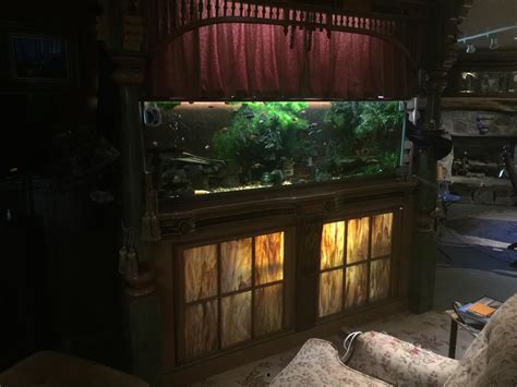 Fathers custom 125 Gal community tank. : r/Aquariums