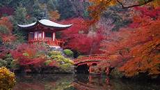 Japanese Wallpaper Hd by Japan Wallpapers Hd Wallpaper Cave Japanese Wallpaper Hd