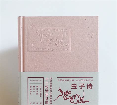 Books | ZHU YINGCHUN 朱赢椿