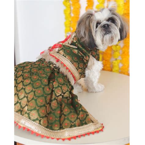 Buy Pawgypets Brocade Lehenga for Dogs and Cats (Green) online at ...