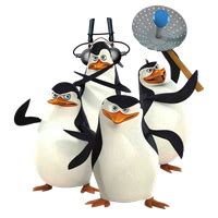 Image result for Who Created Python Name