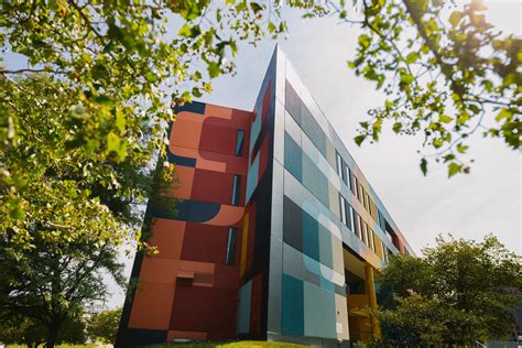 Mainframe 的图像结果