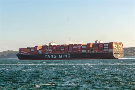 Yang Ming Marine Transport Corporation: Profile & History