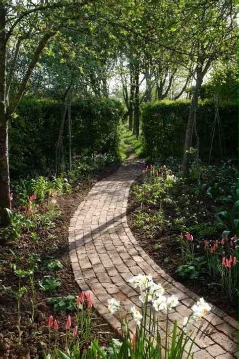 Brick Path 的图像结果