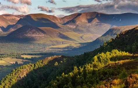 Download wallpaper forest, light, mountains, hills, the slopes, view ...