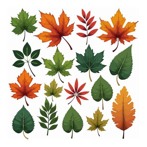 Leafs vector illustration bundle | Premium AI-generated vector