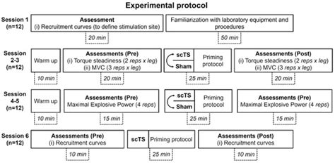 Effects of Neuromuscular Priming with Spinal Cord Transcutaneous ...
