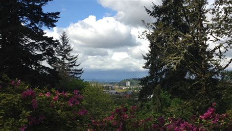 Hendricks Park Eugene