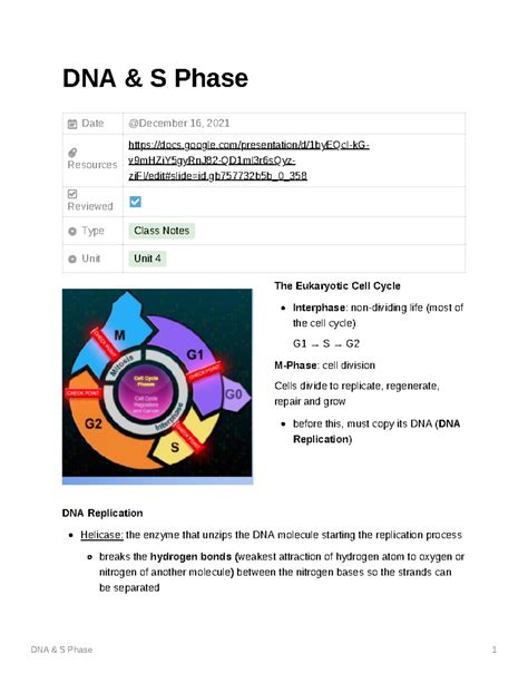 Dna'S Phase