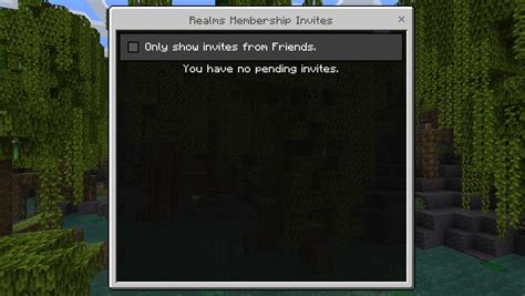 Image result for How to except a Minecraft Invite On Computer