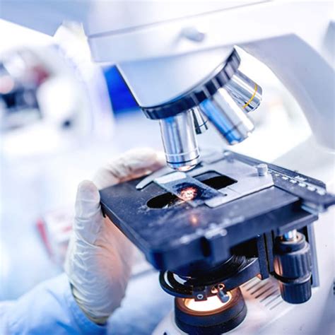 Welcome to - Prime Diagnostics