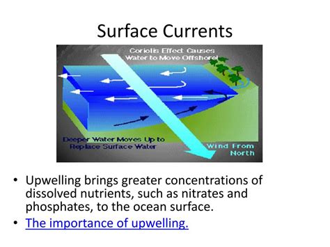 Water Current 的图像结果