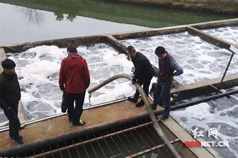 网友投诉娄桥一造纸厂污染 瓯海环保部门称将关停_新闻中心_新浪网