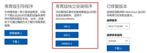 Webview2 Enable JavaScript 的图像结果