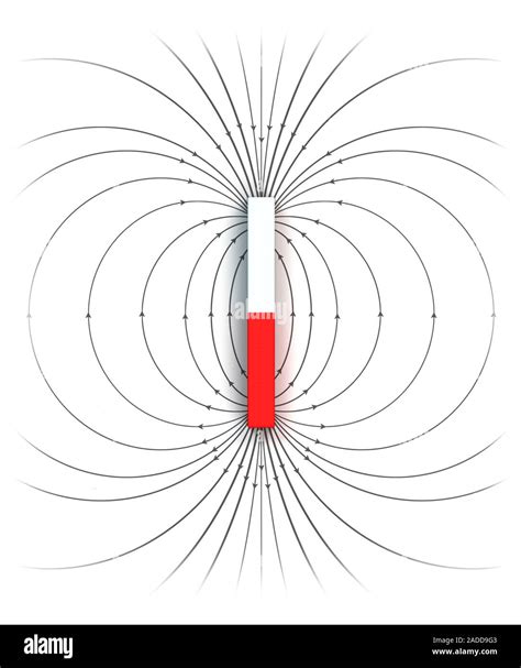 Magnetic field of a bar magnet, illustration. By convention, the poles ...