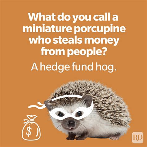 Porcupine Jokes: Laugh Out Loud with These Hilarious Quips - The Funny Puns