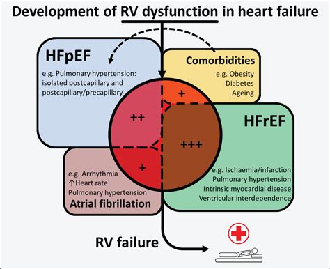 Right ventricular dysfunction in heart failure with reduced vs ...