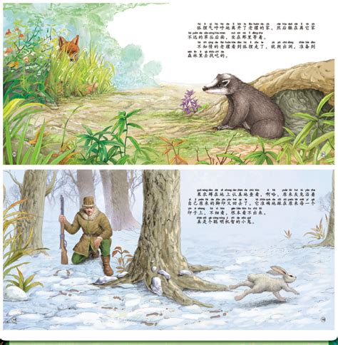 森林报故事绘本儿童书籍读物小学生儿童文学全套12册正版-阿里巴巴