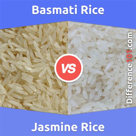 Basmati Rice vs. Jasmine Rice: 7 Key Differences, Pros & Cons ...