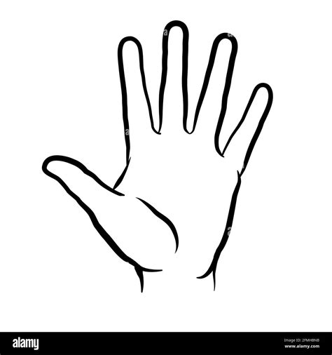 Palm side view of the hand, simplified version. Flat vector line ...