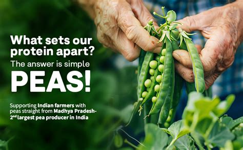 OZiva Bioactive Plant Protein (Chocolate) 500g | 25g Protein,5.5 BCAA ...