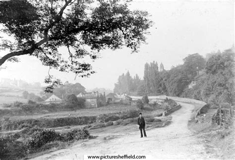 Searching Picture Sheffield