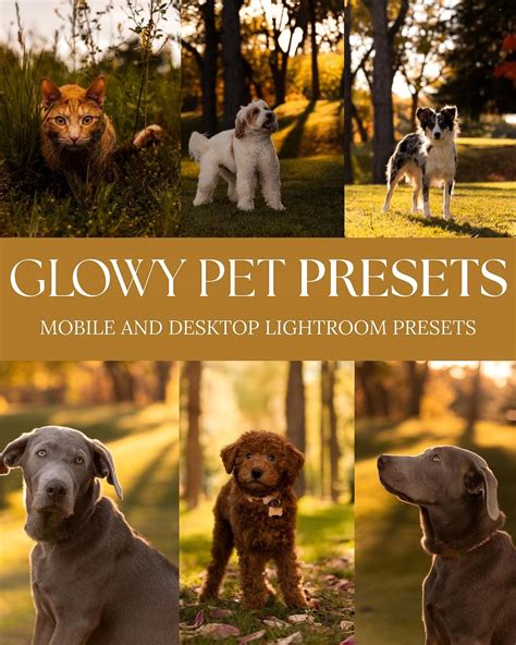 14+ Lightroom Pet Presets Pack Xmp