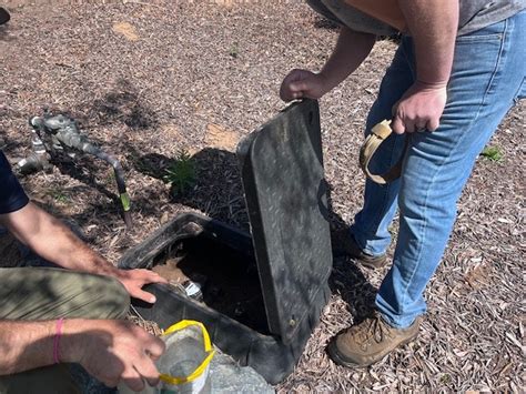 Weta Program 的图像结果