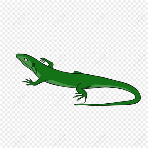 Lizard Clipart Green Cartoon Lizard,cartoon Style,animal,lizards Free ...