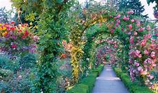How To Design A Garden by Grand Designs Alan Titchmarsh On Creating A Bigger Garden How To Design A Garden