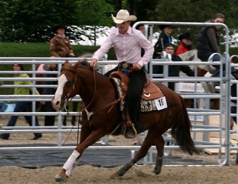 Reining Collection 的图像结果