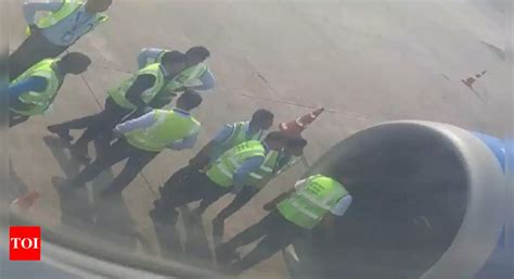 IndiGo flight news: Dubai-bound IndiGo flight suffers bird hit on ...