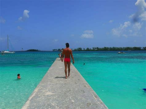 Image result for No Code SQL Visual Query Builder