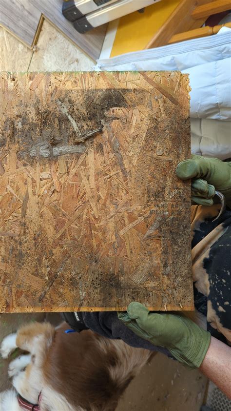 Subfloor on top of my HVAC system. Should I be worried? 😫 : r ...