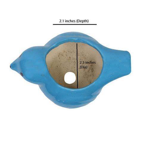 Buy Bird Ceramic Pot Without Plant for Garden (Dark Blue) Online ...