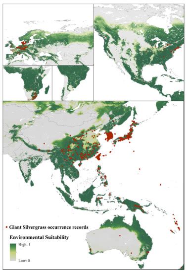 Using Machine Learning to Identify the Potential Marginal Land Suitable ...