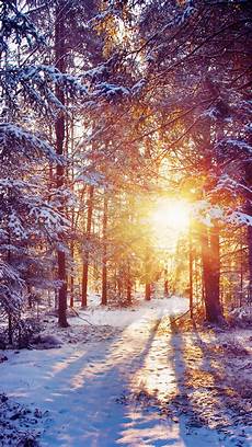 Winter Winter Background by Winter Themed Backgrounds 183 Wallpapertag Winter Winter Background
