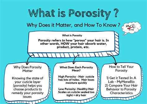 What is Hair Porosity? The Science You Need to Know For Frizz-Free ...