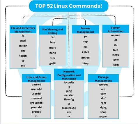Image result for Linux File Management Commands