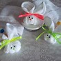 Image result for WashCloth Bunny