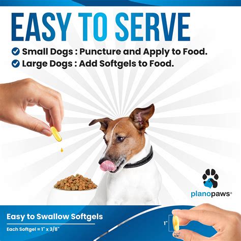 Will Fish Oil Help My Dogs Itching