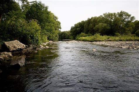 Image result for River Table Project