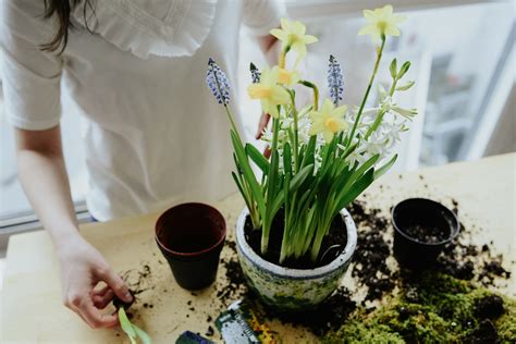 Image result for Using a Bulb Planter