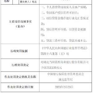 个人消费贷、经营贷违规流入房地产领域，湖北大冶农商行被罚款205万元-有驾