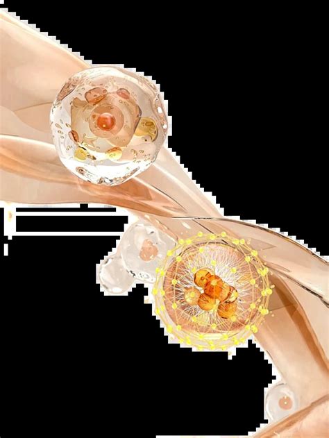 搜图神器 的图像结果