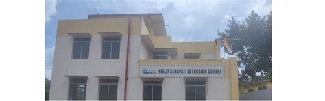 NIELIT