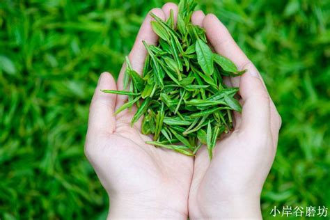 信阳种植牙多少钱一颗？揭晓价格植得伢牙华瑞三家收费都不贵_口腔行业资讯_皓齿口腔网