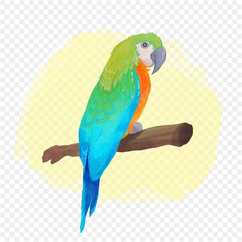 Parrot Bird Clipart Vector, Hand Painted Beautiful Fresh Realistic Bird ...