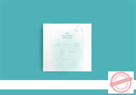 Coaching Process 的图像结果