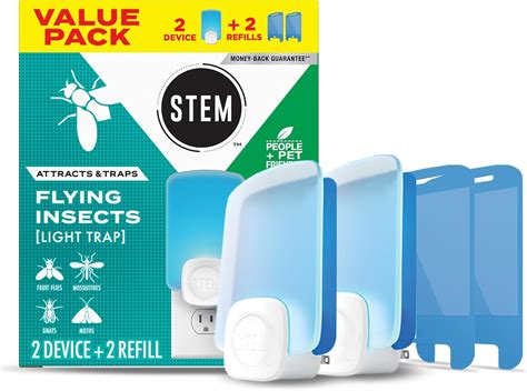 Fruit Fly Pest Control